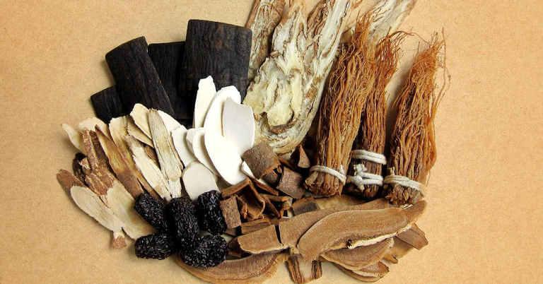 Cơ Chế Hoạt Động Khoa Học Của Thảo Dược Tăng Cường Sinh Lý