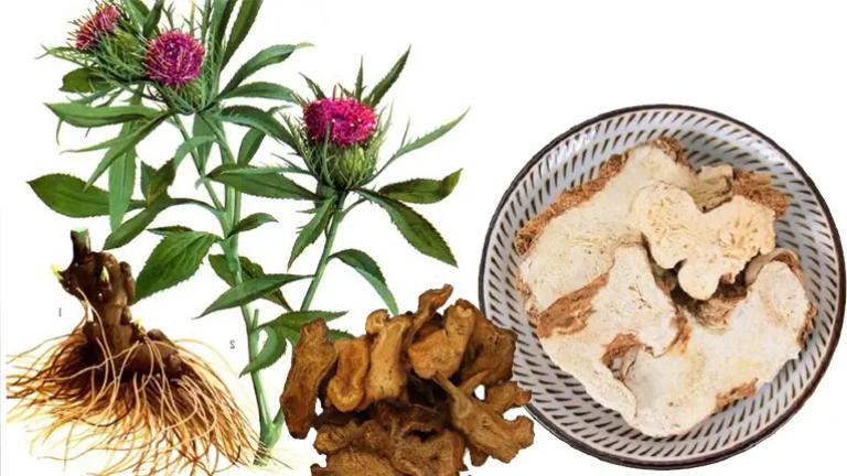 Sau khi chữa khỏi - phòng ngừa tái phát và theo dõi định kỳ