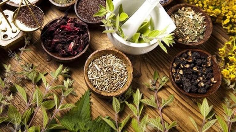 Các bài thuốc gia truyền nổi tiếng