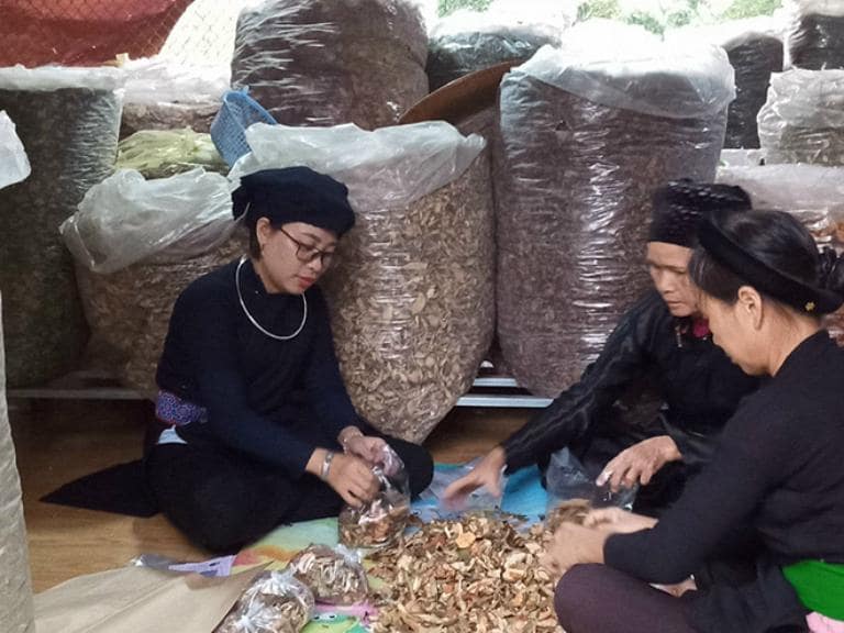 Lương y Nguyễn Thị Thái - Kho báu thuốc Nam