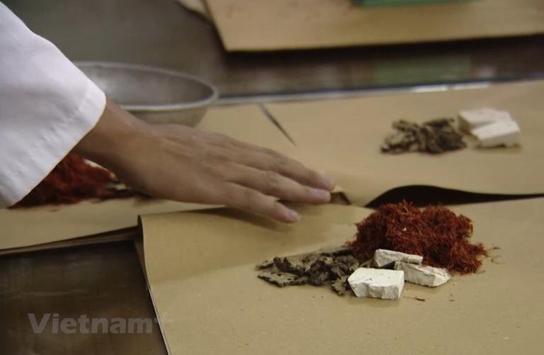 GIỚI THIỆU TỔNG QUAN VỀ LƯƠNG Y VIỆT NAM VÀ VAI TRÒ LỊCH SỬ