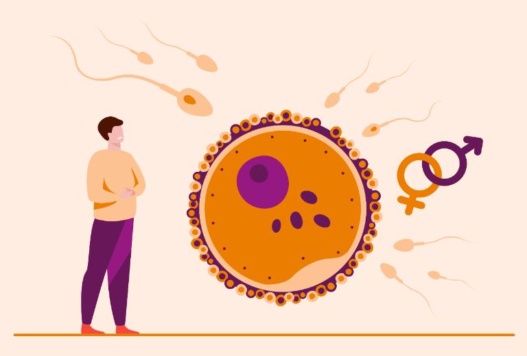 Nguyên nhân vô sinh nam - Phân loại chi tiết và tiêu chí điều trị